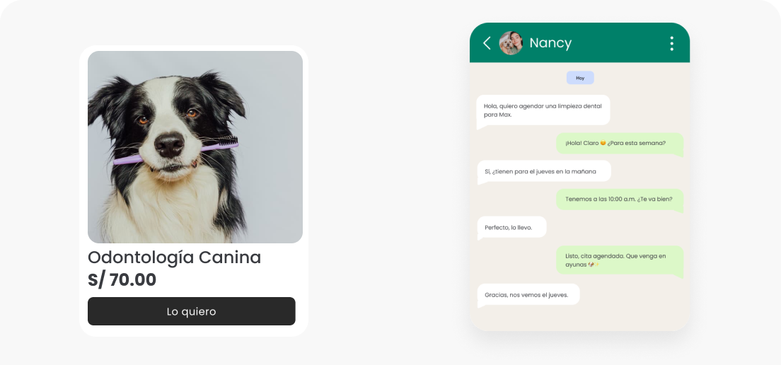 Módulo de Servicios