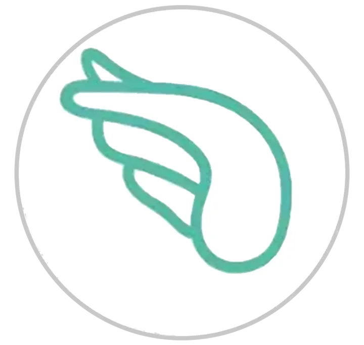 2 Logo